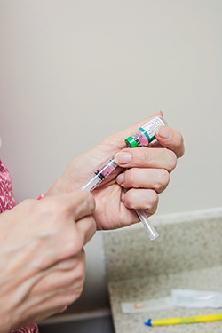 Annapolis Cat Hospital Vaccine Draw