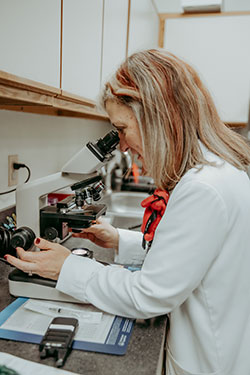 Dr. Rudd uses a microscope to examine a culture