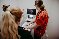 Annapolis Cat Hospital team performs an ultrasound on a kitty patient